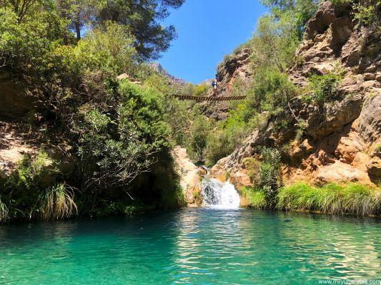 Los Parques Más Famosos de Granada y sus Zonas Naturales